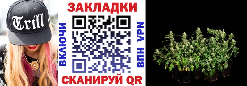 Магазины продажи наркотиков Куса Амфетамин МДМА КОКАИН Меф Псилоцибиновые грибы ГАШ Конопля