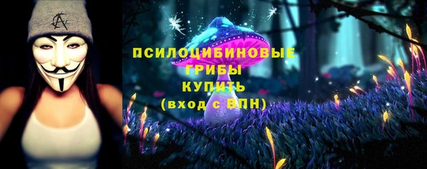 СК Аркадак