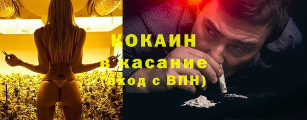 хмурый Арсеньев